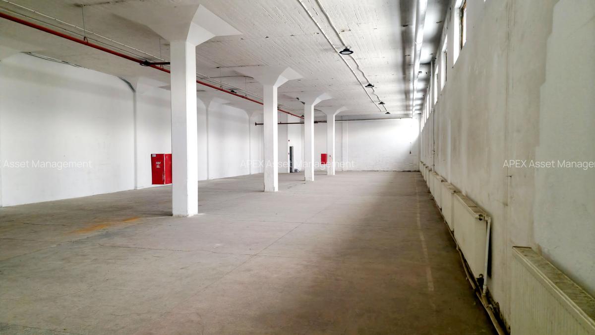 Spații multifuncționale – Depozitare / Producție ușoară / Logistica - 5