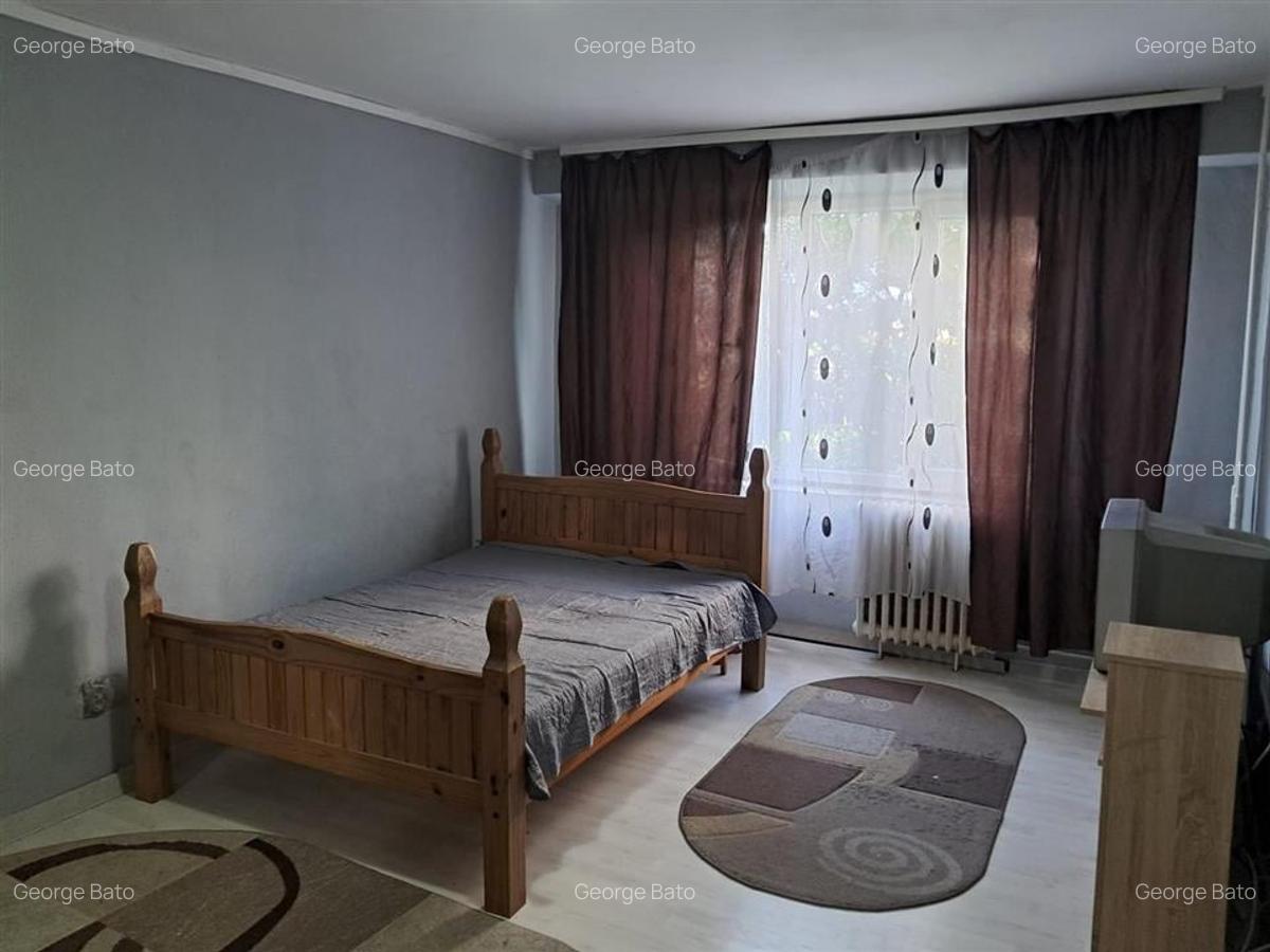 Apartament cu 3 camere decomandat în Nufărul - 10