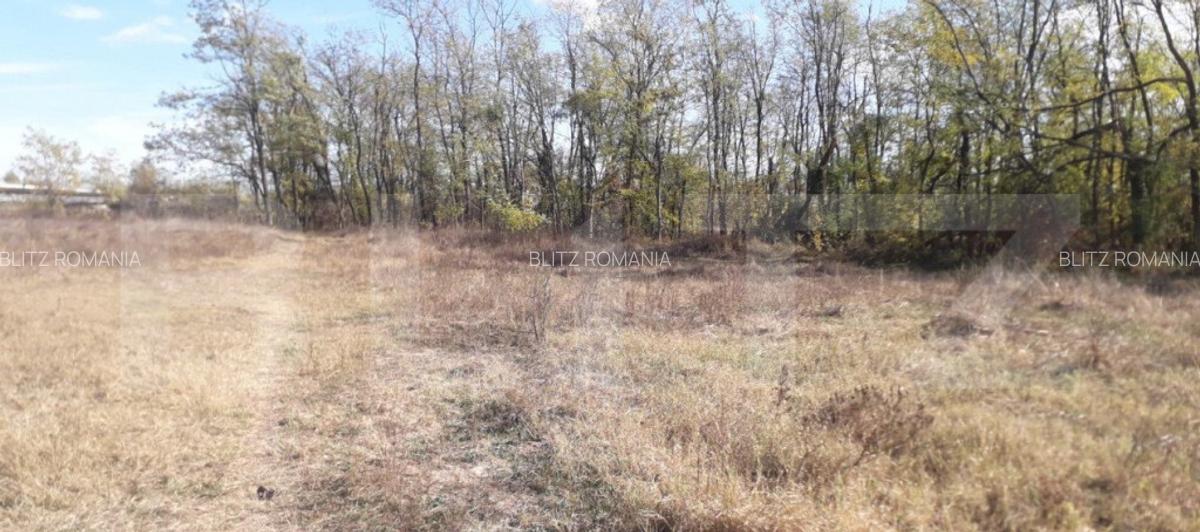 Teren 7240mp, zona Prelungirea Panduri - 5