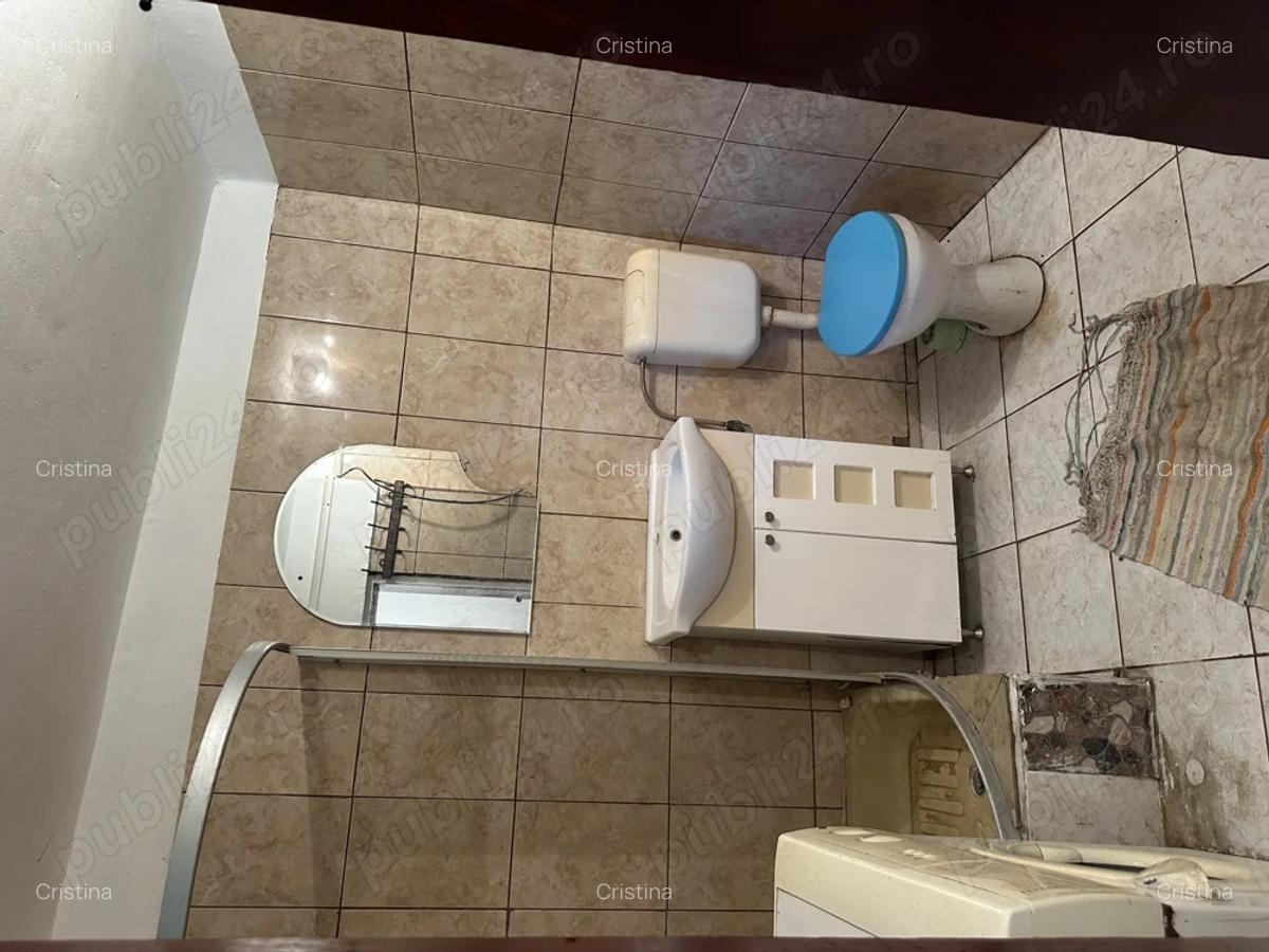 Casa la ?ara de vanzare - 6