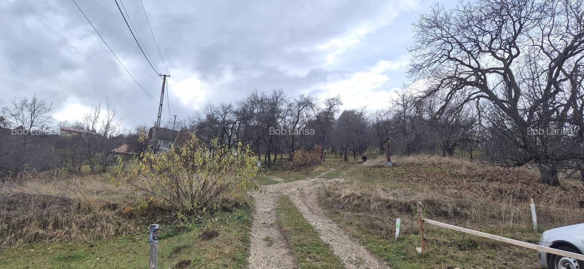 Teren intravilan Sohodol, priveliste catre Bucegi, Piatra Craiului,Magura Codlei - 5