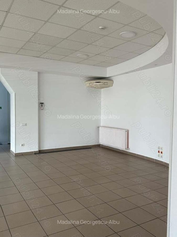 Theodor Pallady stradal birou 410 mp utili LIBER - 10