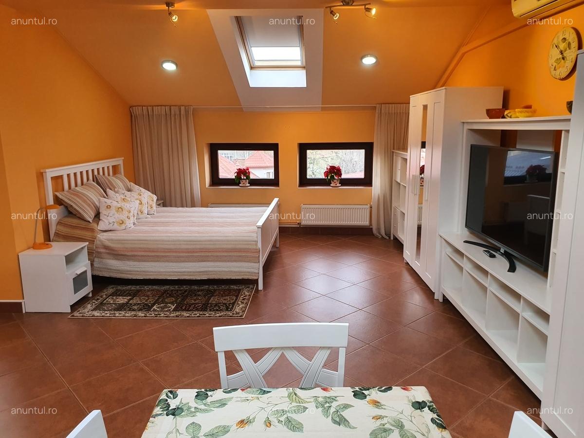 Dorobanti, Tudor Stefan - 19