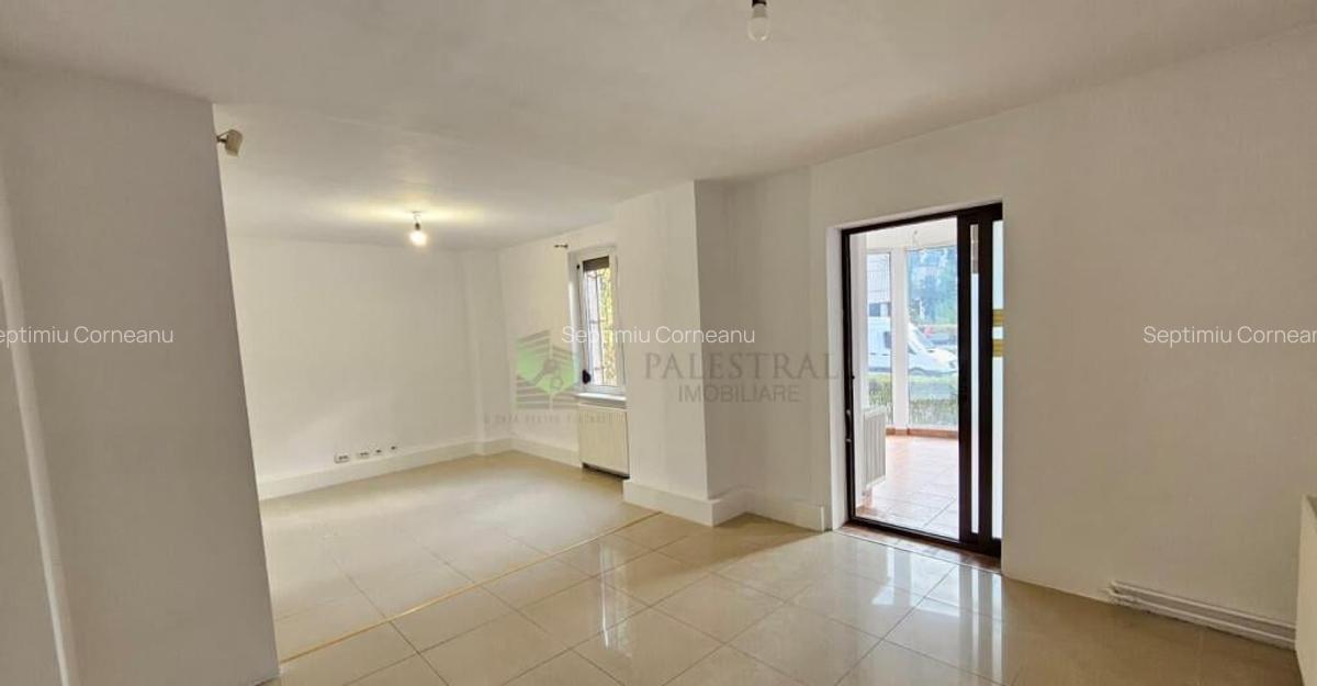 Spatiu Comercial 100 mp, Centrul Civic-Afi,1100 Euro - 2