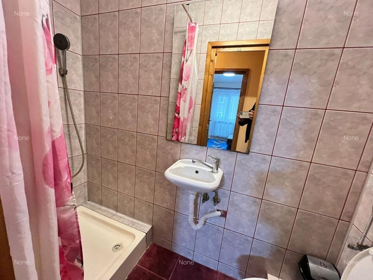 Apartament cu 3 dormitoare | 75 mp | Marasti - 14