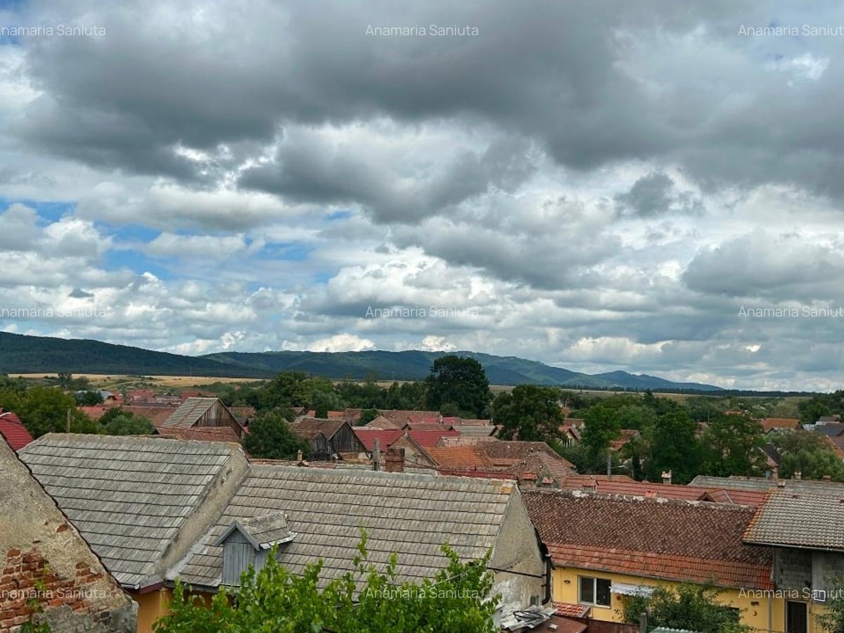 Proprietate specială, 280 mp în Dumbrăvița - 8