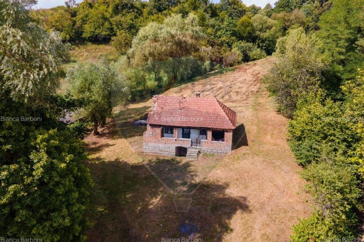 Casa veche cu teren ,Varmaga jud Hunedoara - 11