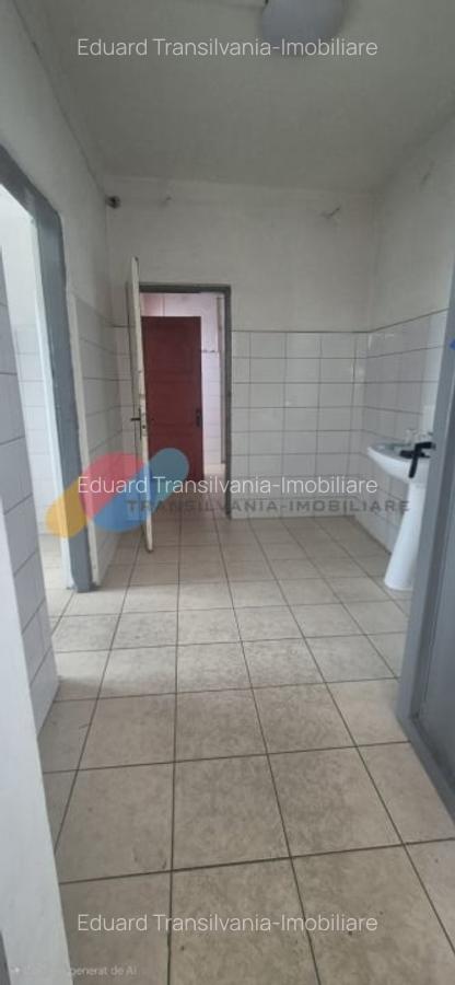 Spatiu industrial 600mp + 1500mp curte - Someseni - 13