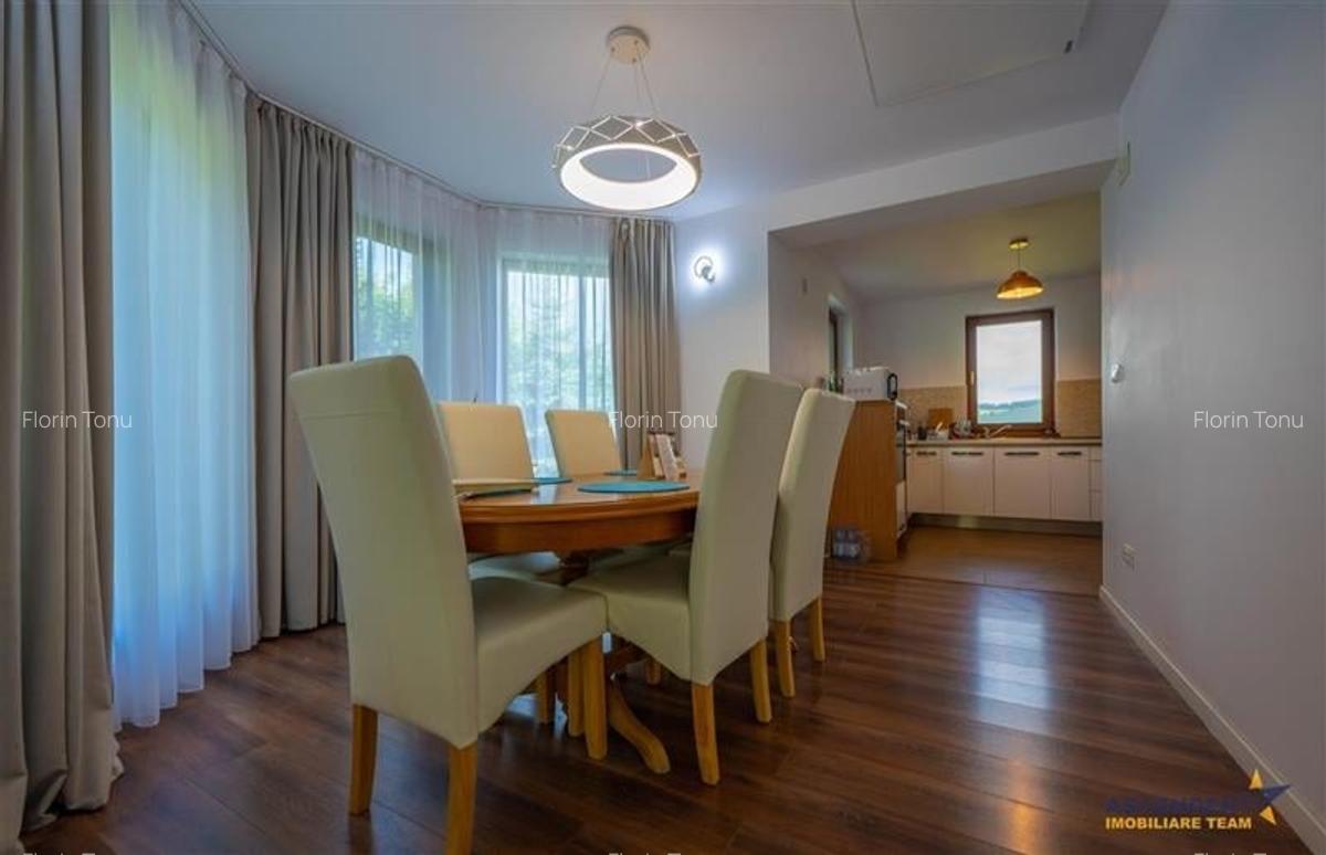 Refined ensemble, elite natural setting, 5 km from Corvin Castle. - 5