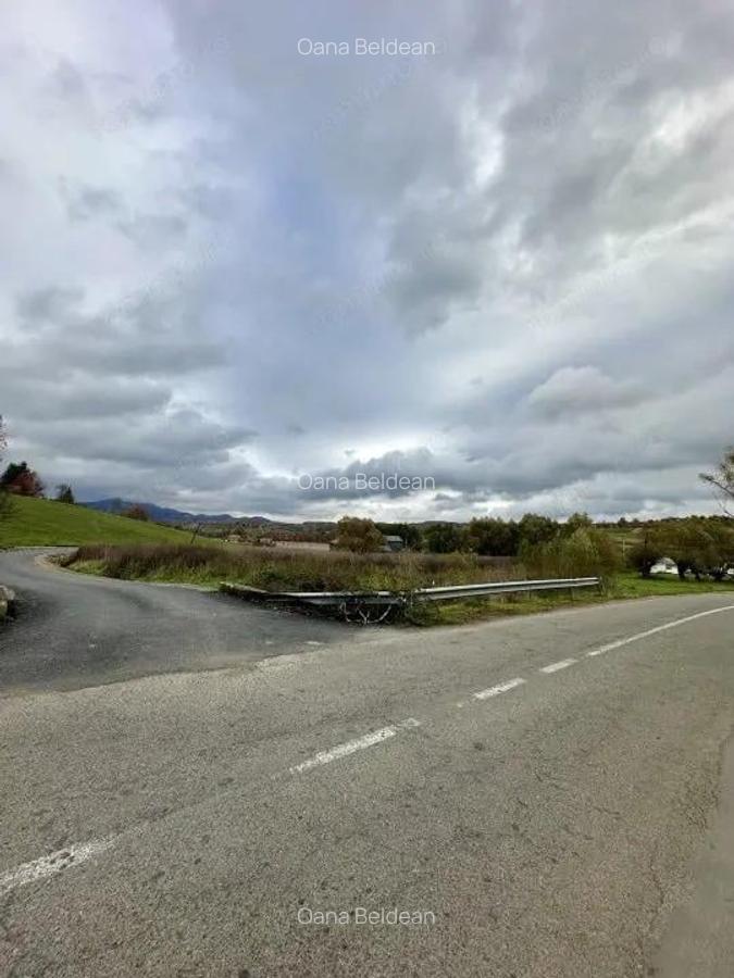 Teren intravilan 3.749 mp Beznea, com. Bratca, jud. Bihor - 4