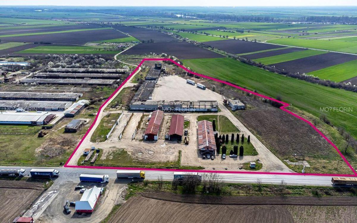 4,2 ha Teren DN7 Nadlac pentru Parc Logistic - 6