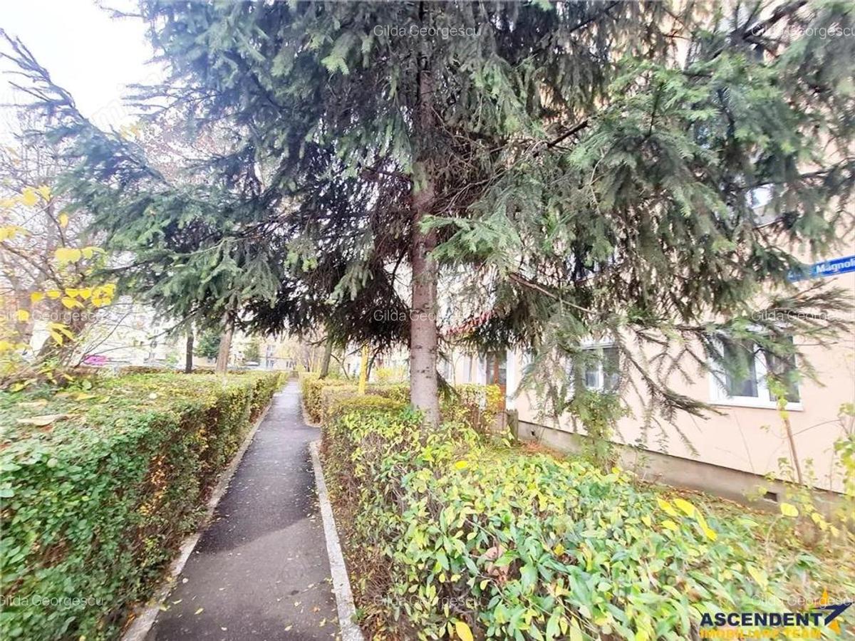 Cartierul Florilor, imobil renovabil, etaj intermediar, zona linistita, Brasov - 1