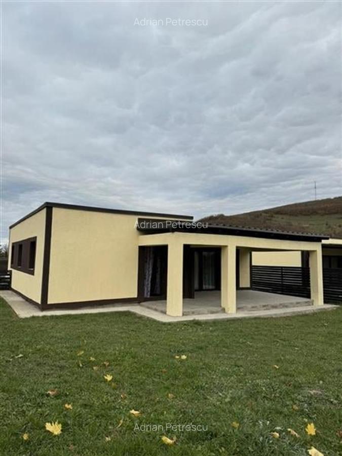 Casa singura in curte,  Zizin , Tarlungeni , Brasov - 7