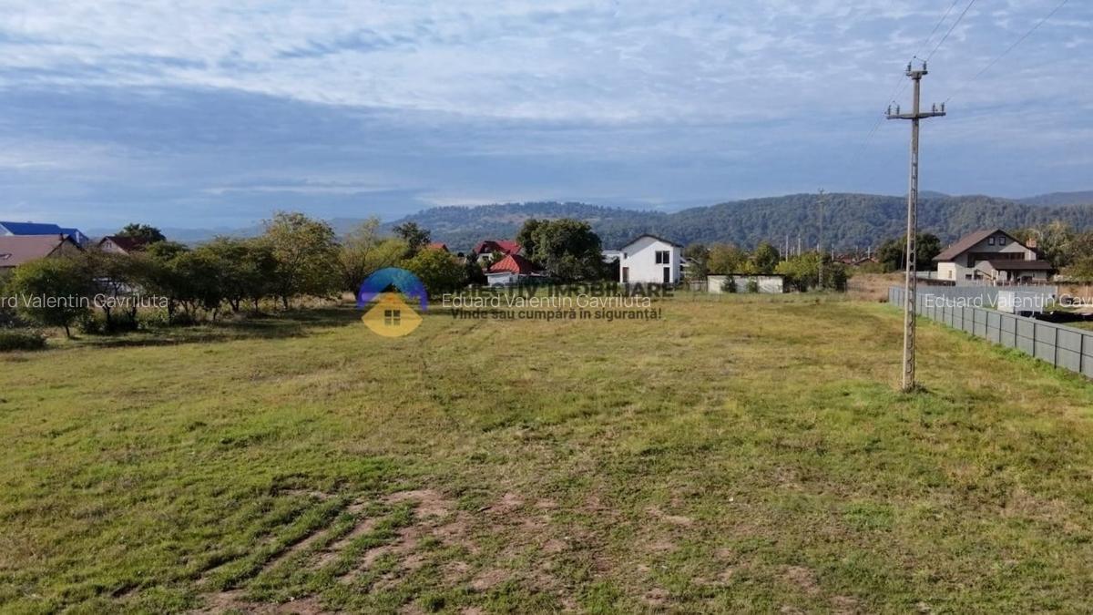 Teren de vanzare 1800 mp - Dumbrava Rosie - 12