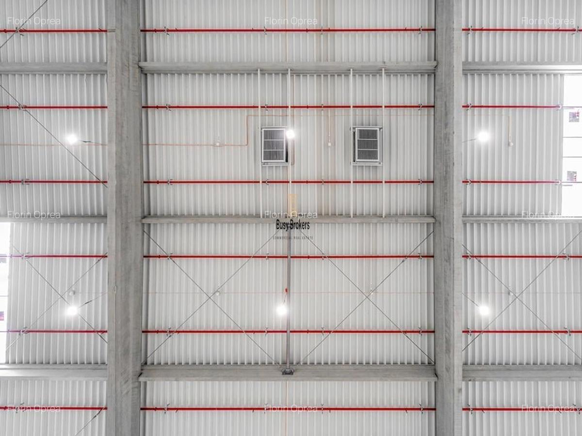 Spatiu Industrial - 3000 mp - Logistica - Productie - Depozitare - 9