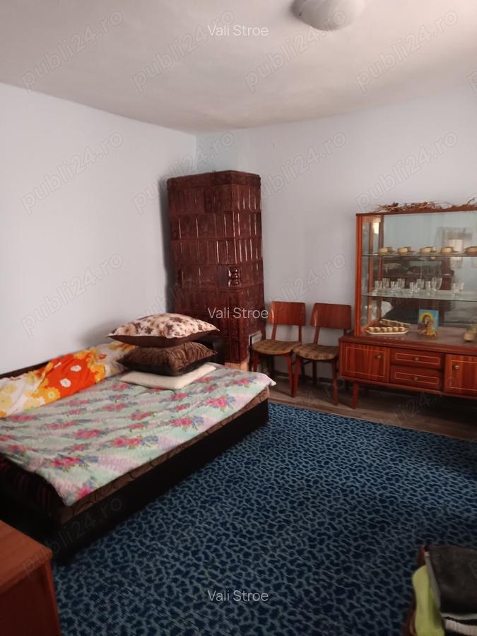 Vand casa in comuna Saelele - 10
