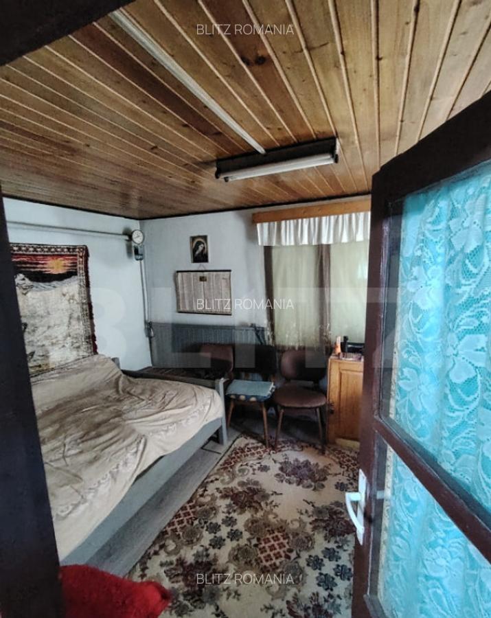 Cabana 5 camere Salard - 14