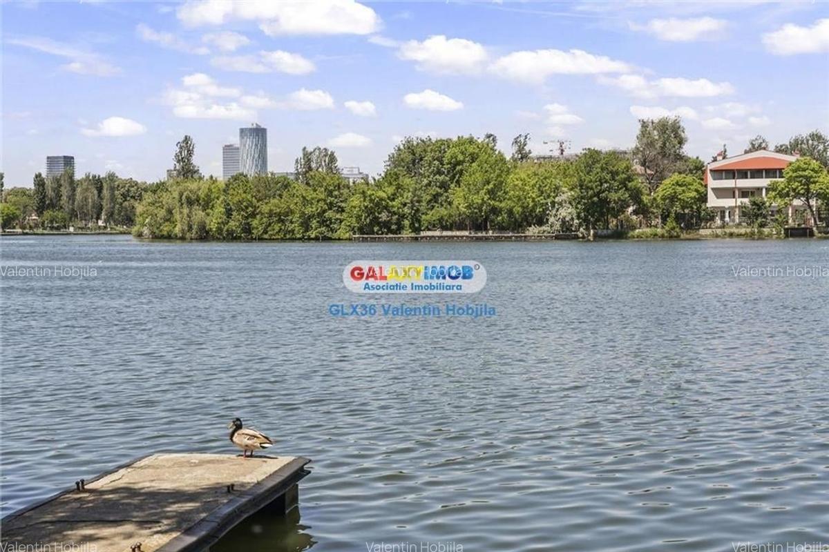 Vanzare vila Lacul TEI  PETRICANI INSULA  LAC 1900 MP TEREN - 2