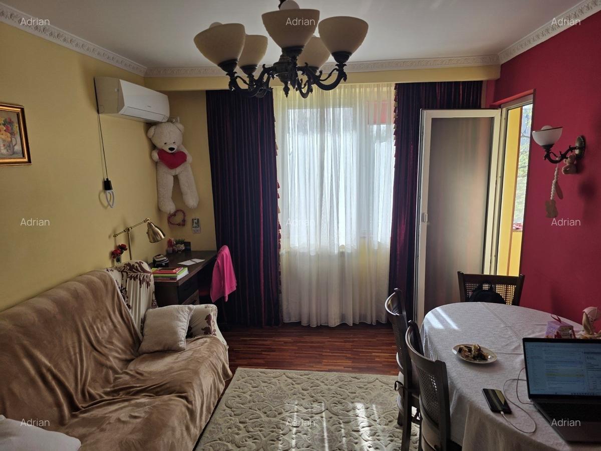 Apartament cu 2 camere semidecomandat, mobilat în Baba Novac - 9