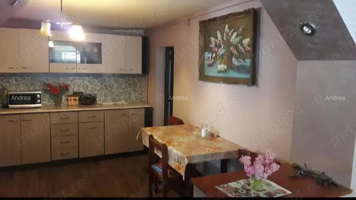 De va nzare 2 case renovate la Paleu! AGENTIILE IMOBILIARE SA NU SUNE! - 5