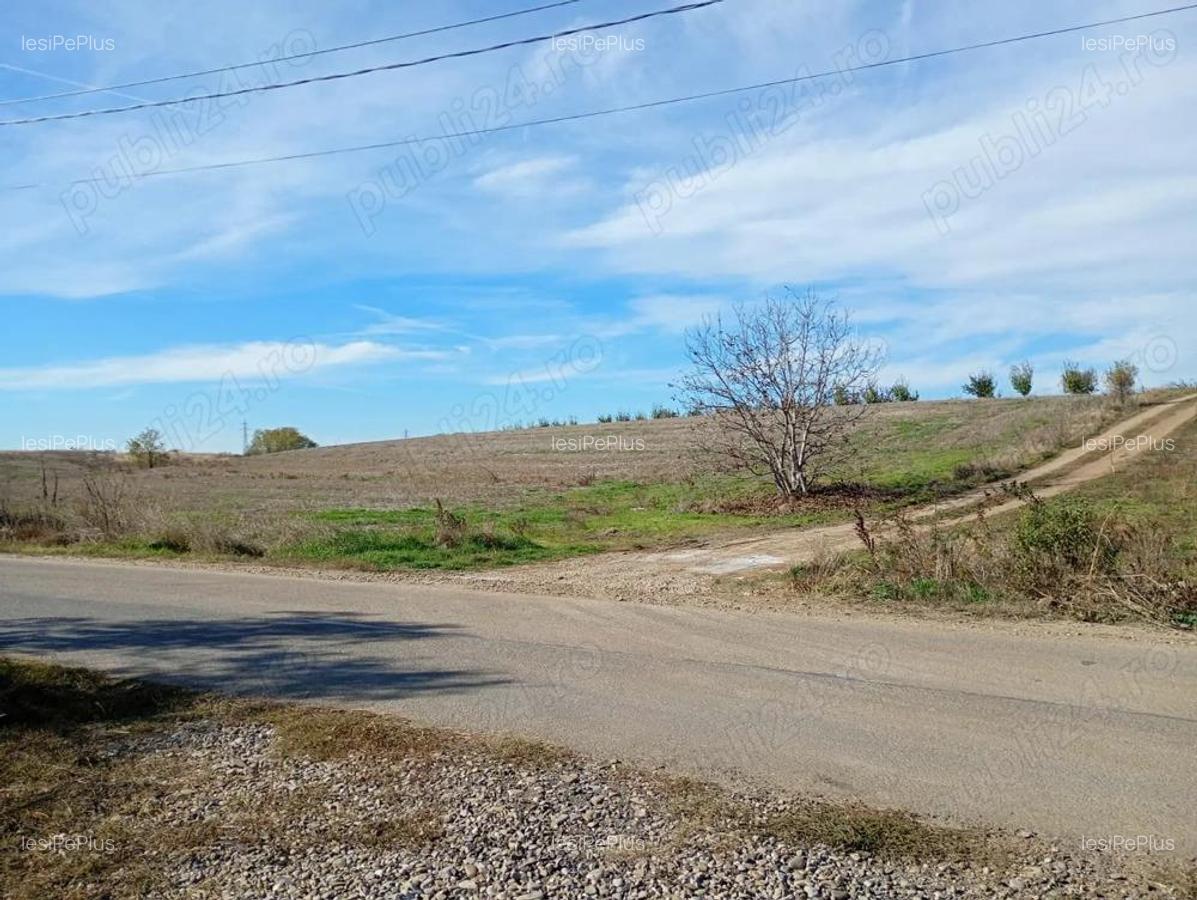 Teren 6.000 mp in Peri?, aproape de Bucure?ti ideal pentru locuin?a sau investi?ie - 2