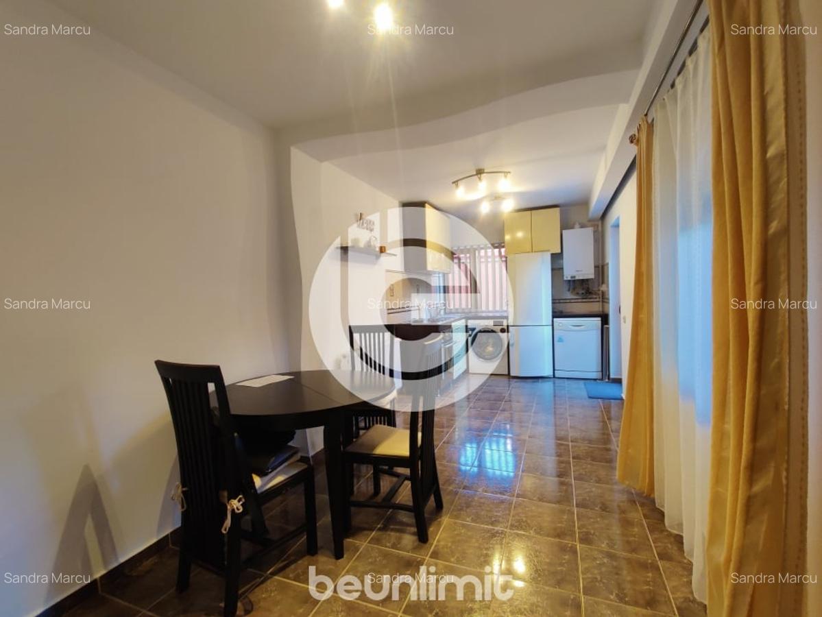 Apartament 2 camere - curte - garaj - langa Parcul Sub Arini - 5