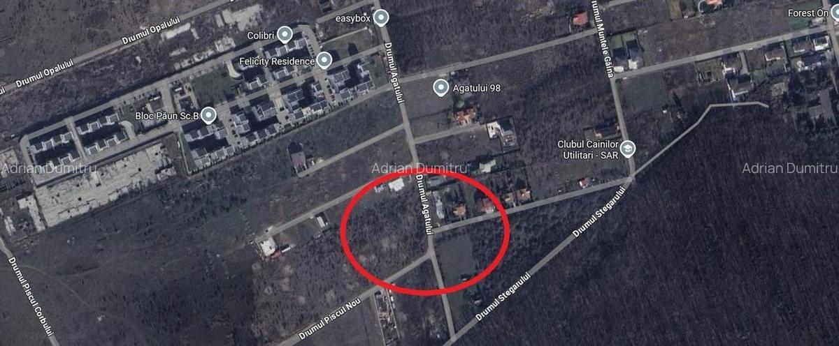 TEREN 1.000 mp langa padure pentru vila - 1