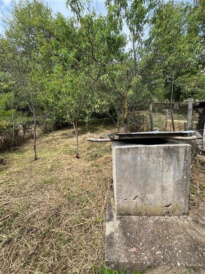 RECO Casa batraneasca cu teren generos la Lupoaia -Holod - 11