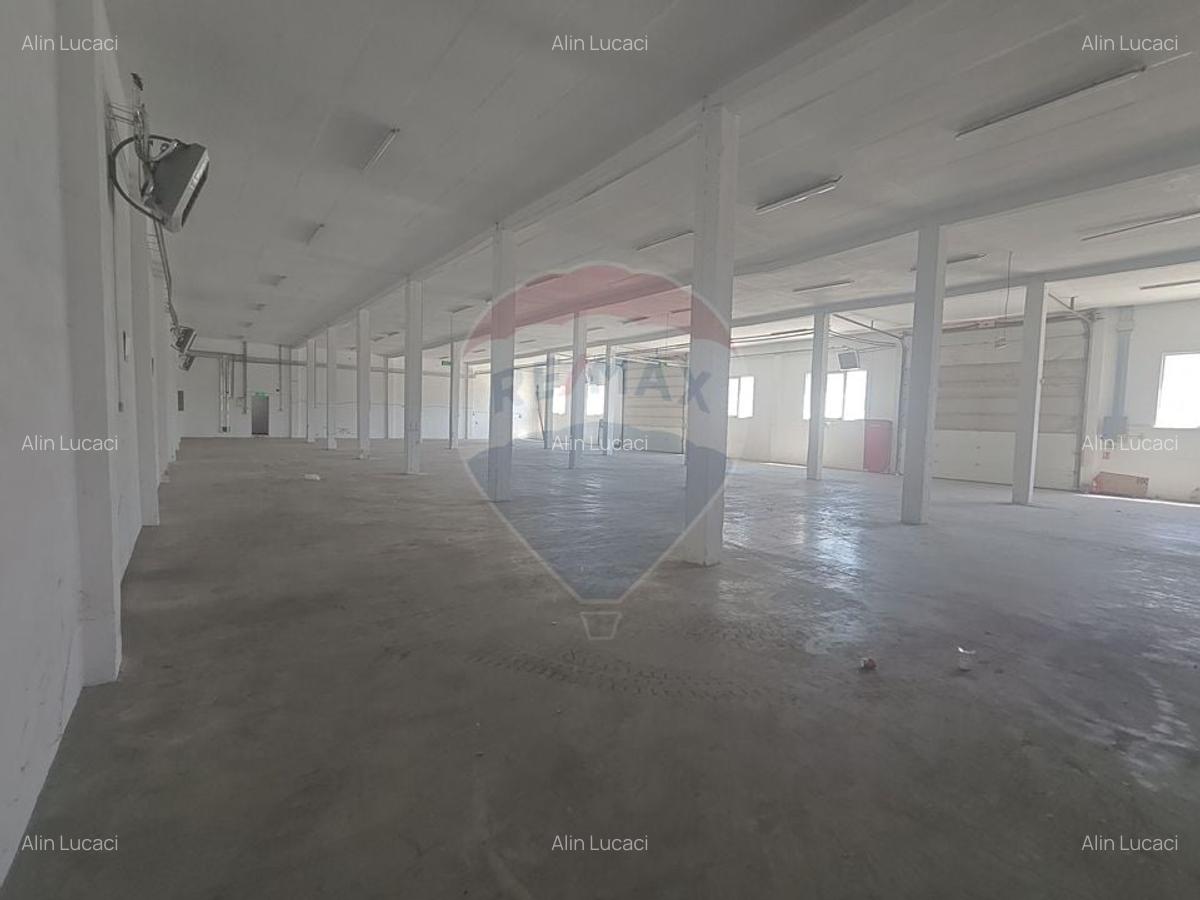 Spațiu industrial, 867 mp în Someșeni - 5