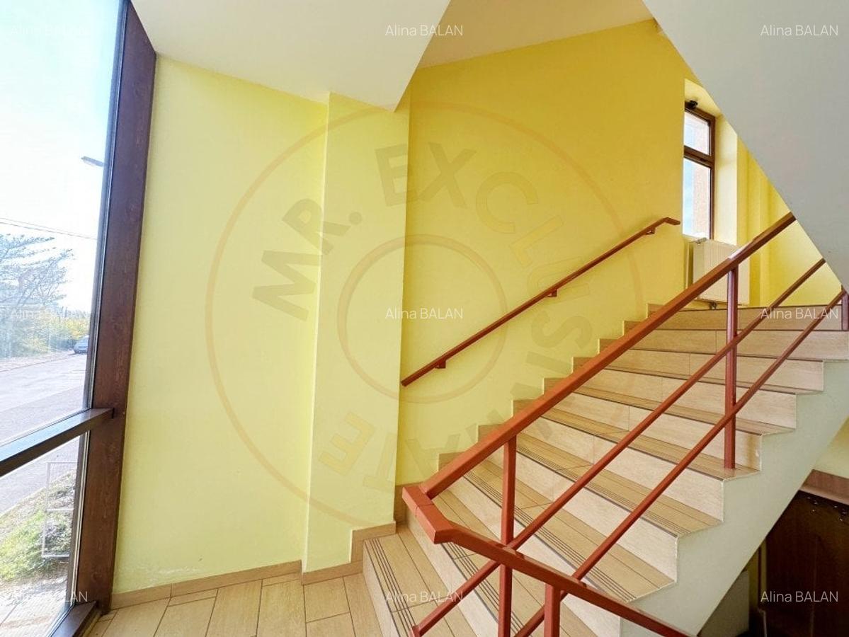 Inchiriere Cladire multifunctionala Vama Pitesti - 11