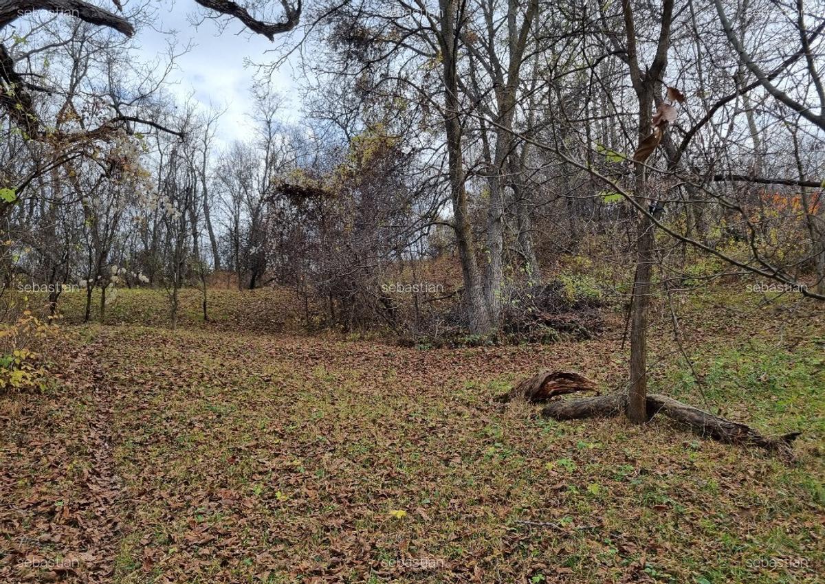 Teren Intravilan Breaza Prahova (zona Clubului de Golf) 1744mp - 6