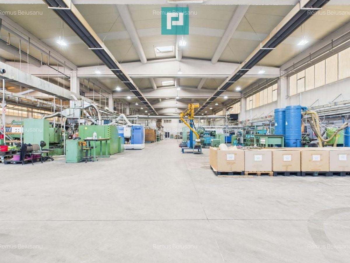 Hală industrială modernă, Șagului - 4