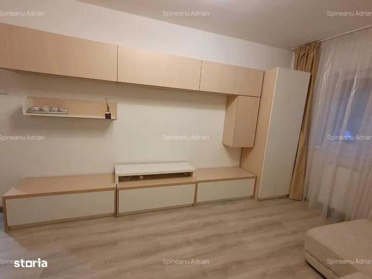 3 cam dec Lipovei Parter - 2