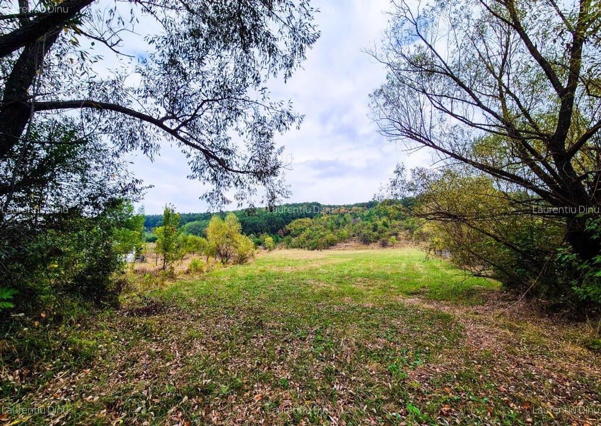 Teren 1,4 hectare Draganu Arges - 6