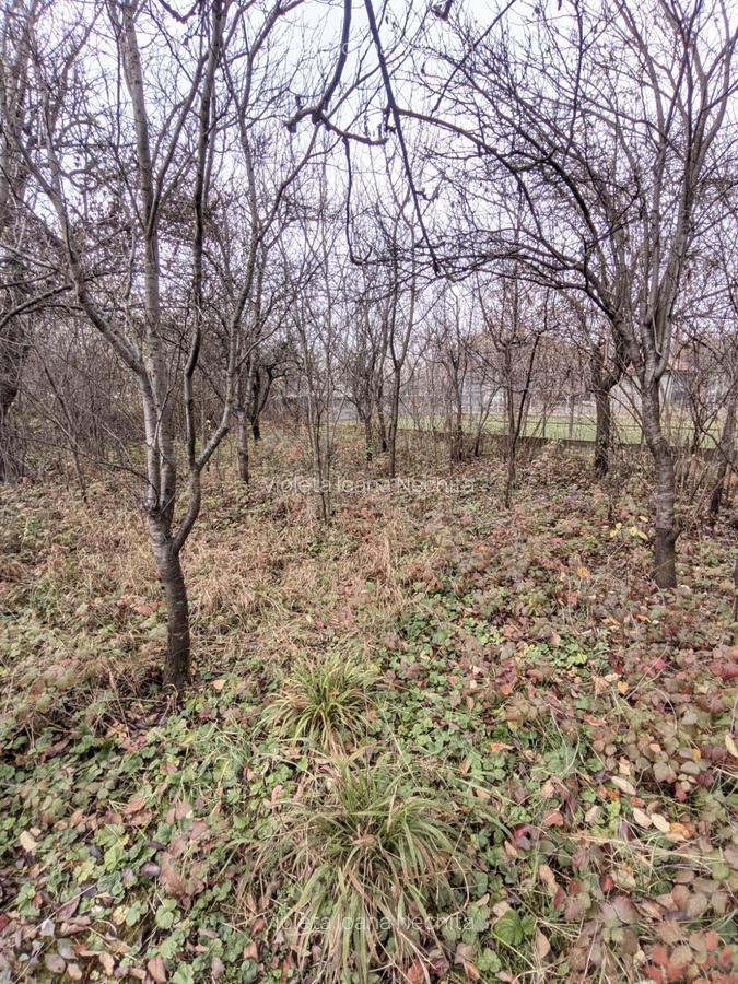 Casă de vânzare, 60 mp, 800 mp teren Dâmbu Rotund zona Dedeman - 9