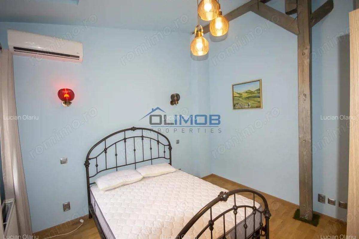 Inchiriere vila cu personalitate zona Tudor Vladimirescu - 12