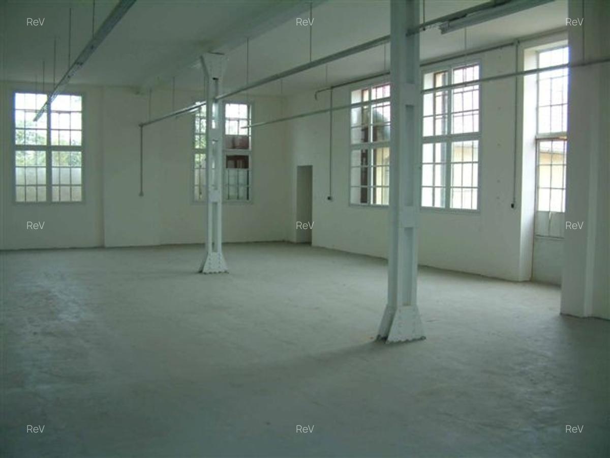 Vand imobil cu multiple posibilitati 865 mp utili  si 709 mp teren. - 4