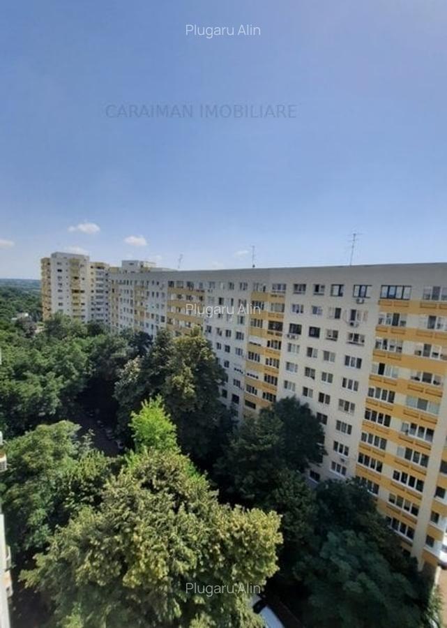 Lacul Tei, Maica Domnului aproape Parcul Circului - 1