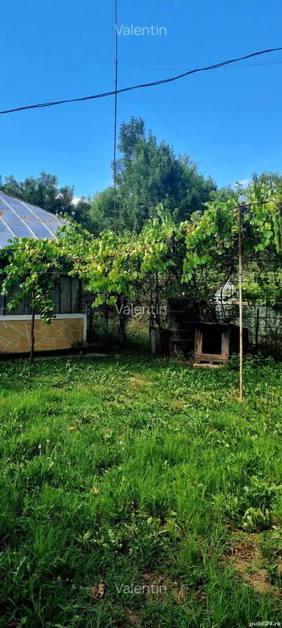 Teren cu casa in Cobia - 3