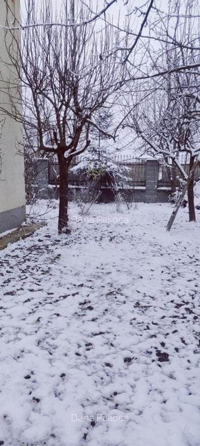 Apartament cu 5 camere decomandat în Ghiroda - 21