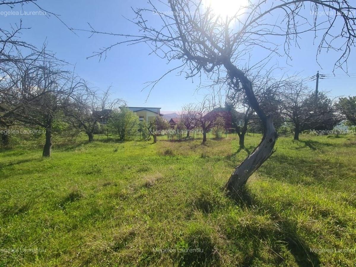 Teren de vanzare in Campina in zona retrasa - 5