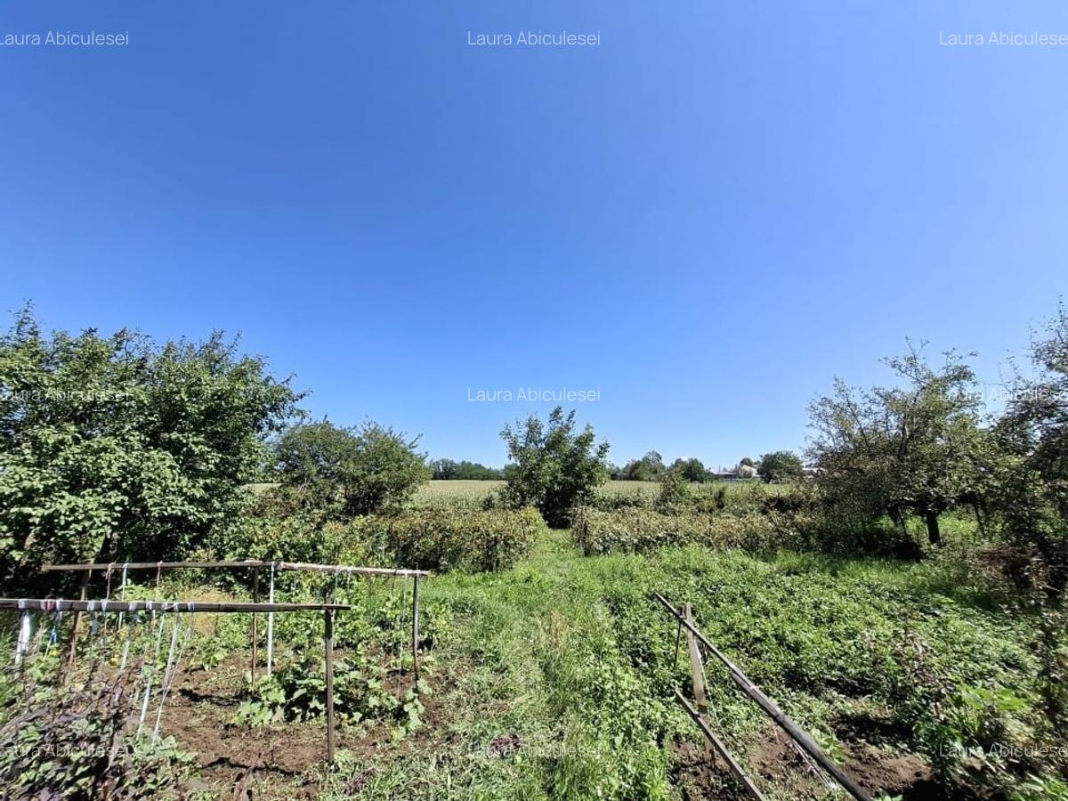 Casa 6 camere, Garaj , Teren 5000 MP - 11