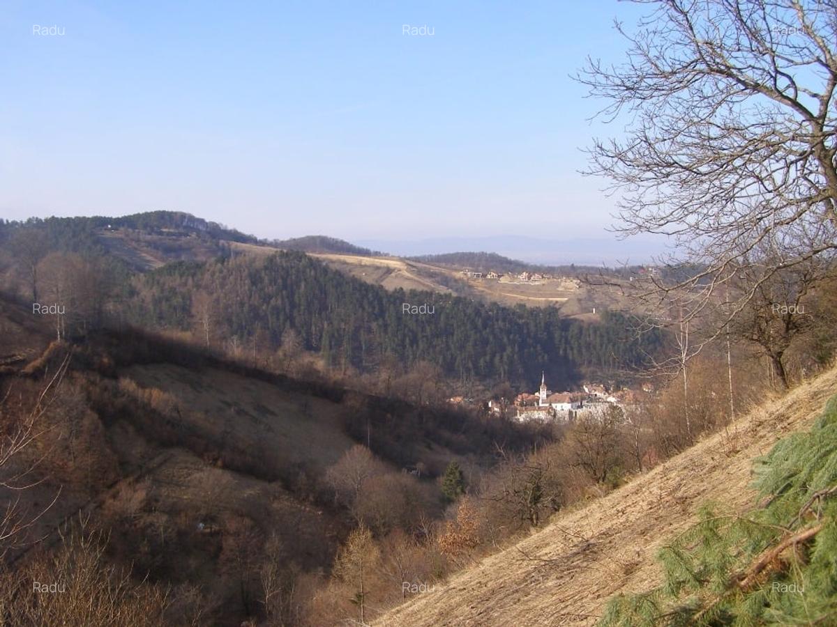 Tren intravilan si casa de lemn  in Brasov - 8