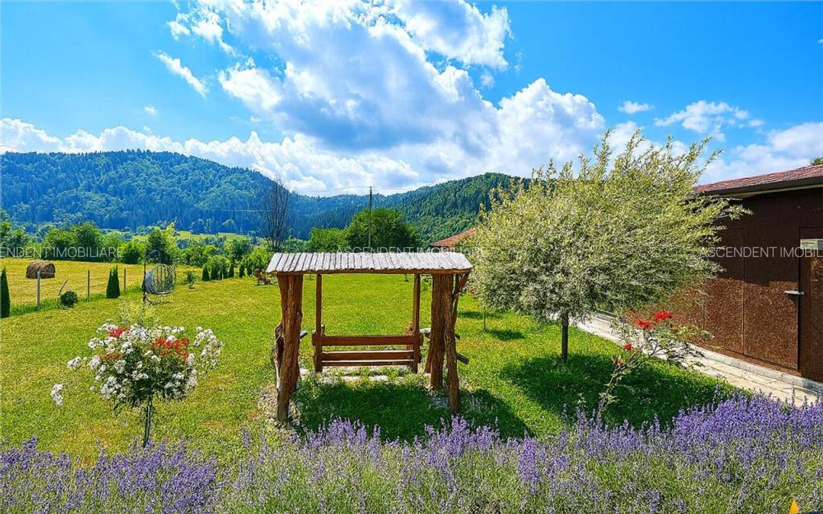 Refugiu pretios: jacuzzi, lemn masiv, 2.000 mp teren,4 dorm - 3