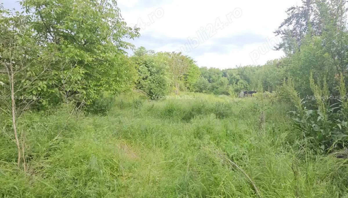 Casa batraneasca 3 cam + teren 1.056?mp cu iesire la lac, Petrachioaia - 6