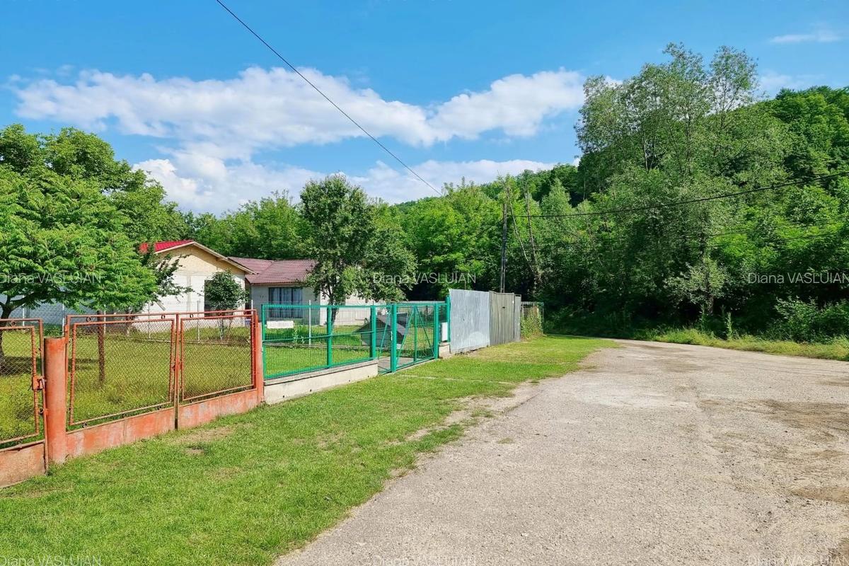 VANZARE teren intravilan 6011mp Mislea Scorteni Prahova Telega Prahova utilitati - 4