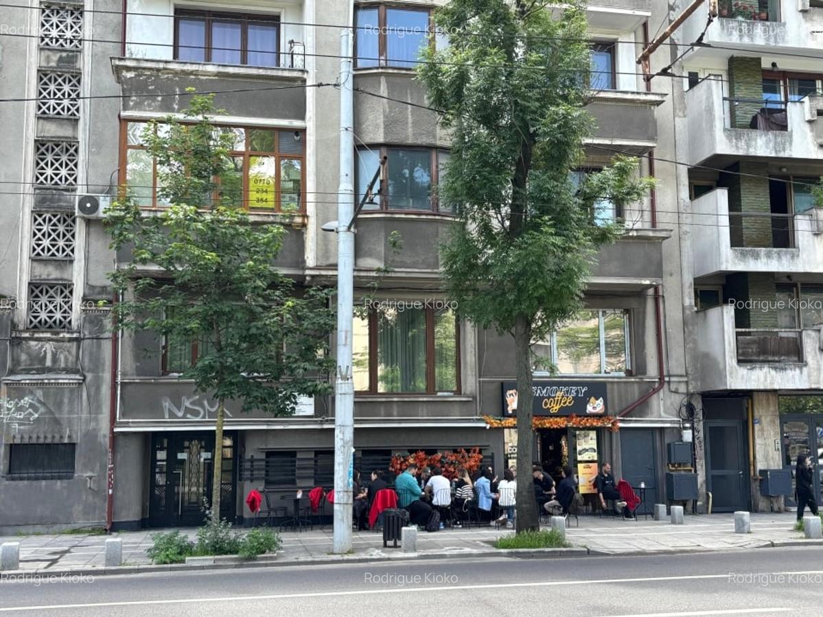 Garsoniera de la Drept, etaj 1, 28 mp, mobilata, centrala, 5 min metrou izvor - 12