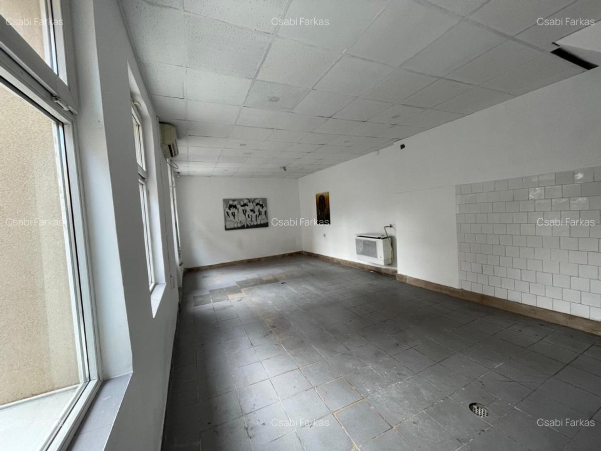 Casa cu 2 camere, 48mp, central - 5