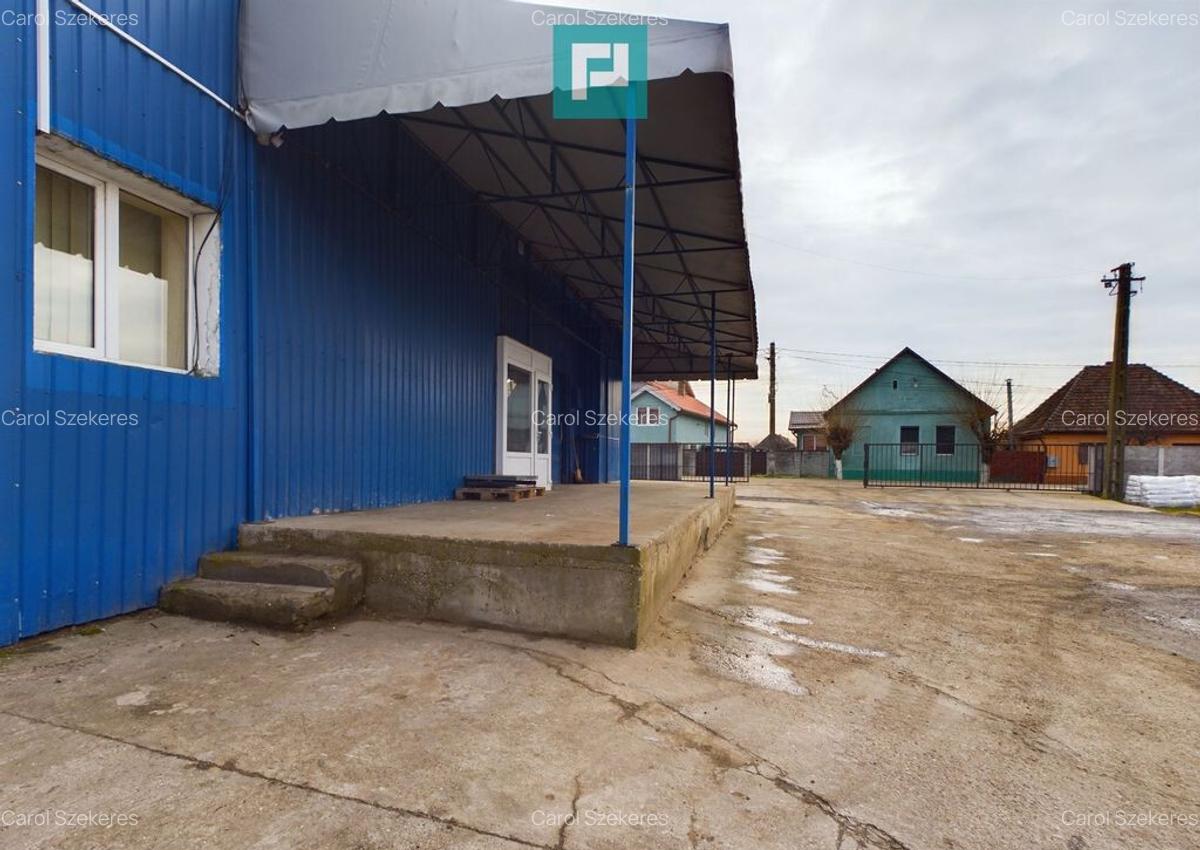 Depozit frigo in Sacalaz - 3