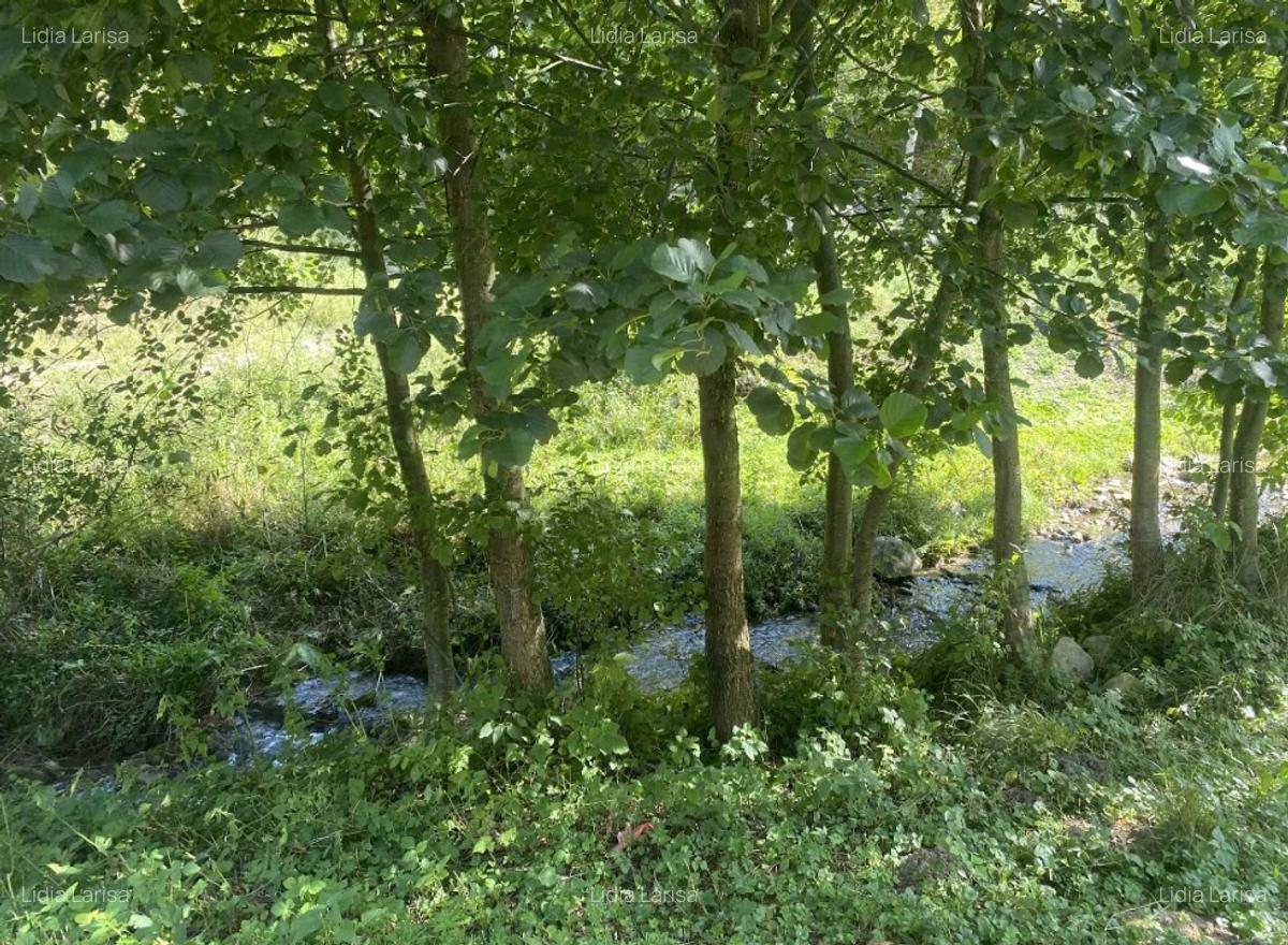 Casa de vanzare+teren - 10